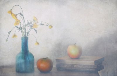 Fredfulle blomster, epler, bøker av Delphine Devos