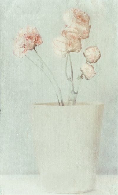 Myke, falmede blomster av Delphine Devos