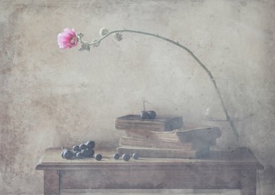 Vintage Books og Bloom av Delphine Devos