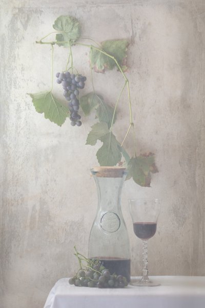 Stillbilde av vintagedruer og vin av Delphine Devos