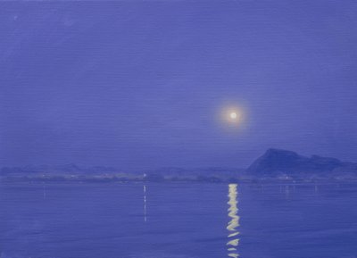 Måneskinn over Udaipur av Derek Hare
