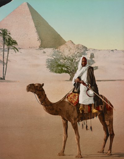 Beduin på en kamel og den store pyramiden, Kairo, Egypt av Detroit Photographic Co.