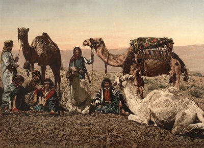 Camels Halting in the Desert, Holy Land, ca. 1890 (fotomekanisk trykk) av Detroit Photographic Co.