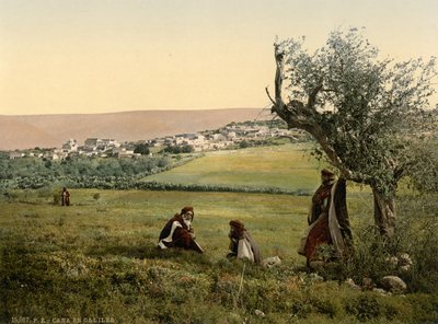  av Detroit Publishing Co.