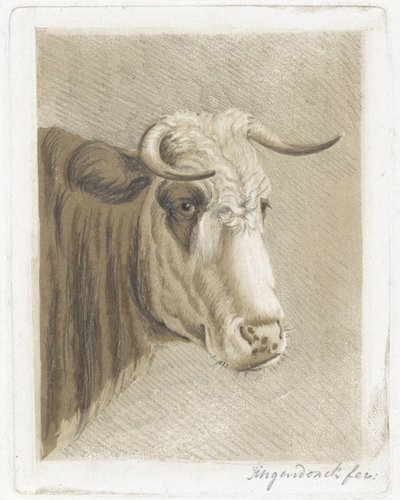 kakekopp av Diederik Jan Singendonck (signed by artist)