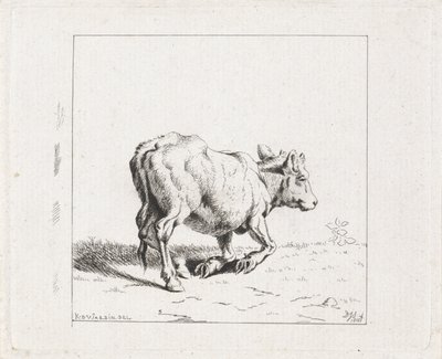 Stigende kalv av Diederik Jan Singendonck