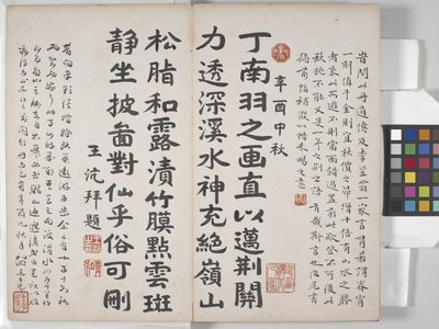 Album Of Landscape Paintings (blekk på papir) av Ding Yunpeng