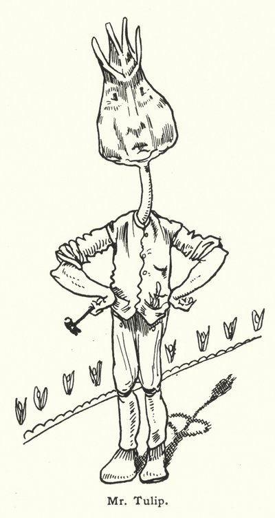 Herr Tulip av Dion Clayton Calthrop