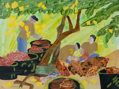 Madeira-kilden, botaniske hager (kollasje) av Dione Verulam