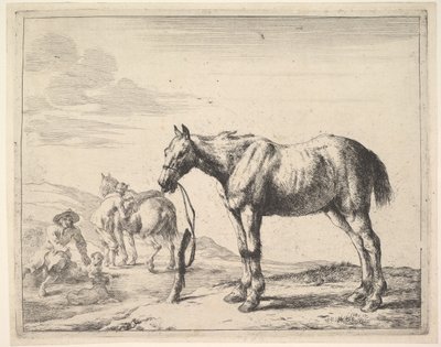 Hest bundet til en stolpe, svingt til venstre. av Dirck Stoop