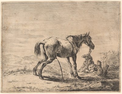 Oppdra hest i nærheten av en stall av Dirck Stoop