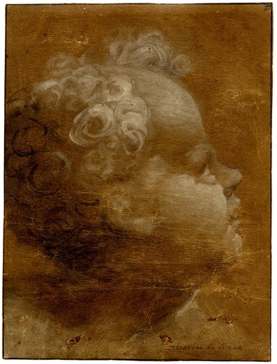  av Domenico Beccafumi