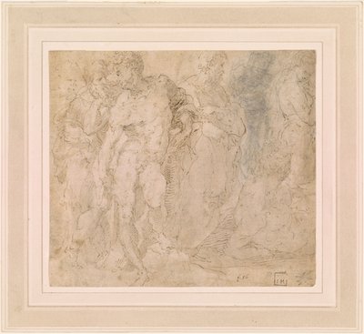  av Domenico Beccafumi