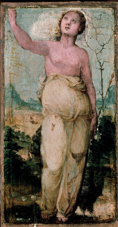 Kvinnefigur. Maleri av Domenico Beccafumi (1486-1551). Siena, konservatoriet av Domenico Beccafumi