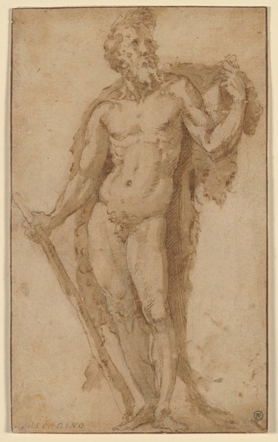  av Domenico Beccafumi