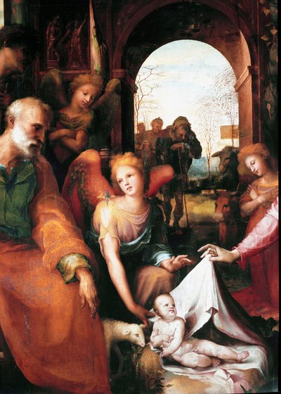 Fødselen, detaljene. Maleri av Domenico Beccafumi (1486-1551) av Domenico Beccafumi