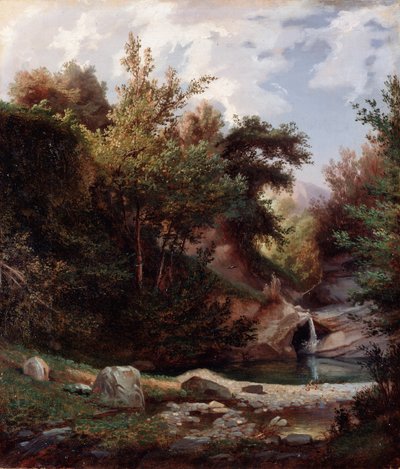 Naturlandskap, underskog og bekk med foss Maleri av Domenico Cambiaso (1811-1894) ca. 1865 Dim 43,5x37 cm Genes, Galleria d