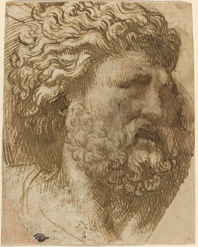 Leder av en mann av Domenico Campagnola