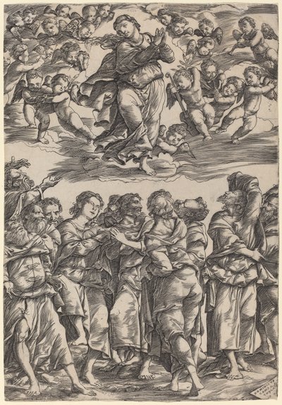 Jomfruens antagelse av Domenico Campagnola