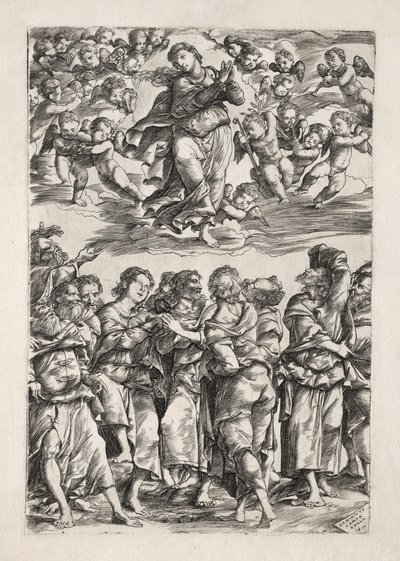 Jomfruens antagelse av Domenico Campagnola