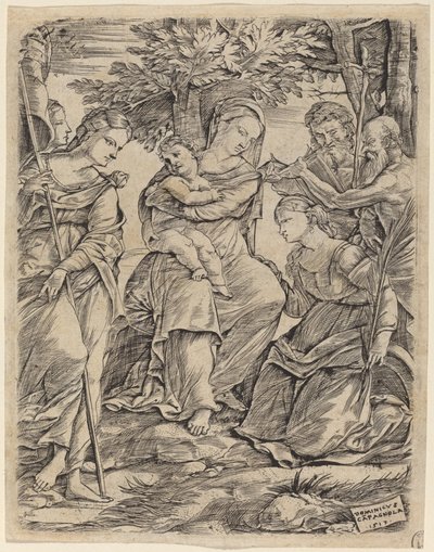 Jomfruen og barnet med de hellige av Domenico Campagnola