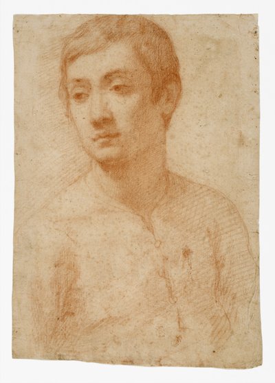 The Head of a Youth, ca. 1600-25 (rødt kritt på lagt papir) av Domenico Cresti
