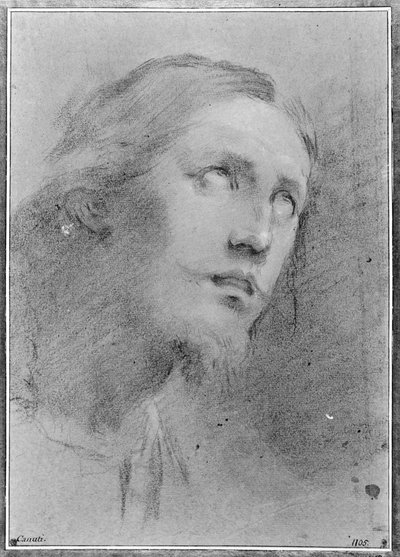  av Domenico Maria Canuti