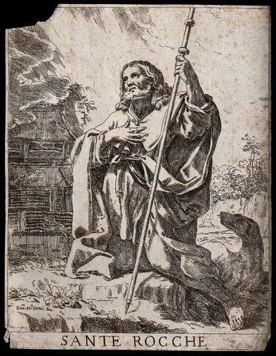  av Domenico Maria Canuti