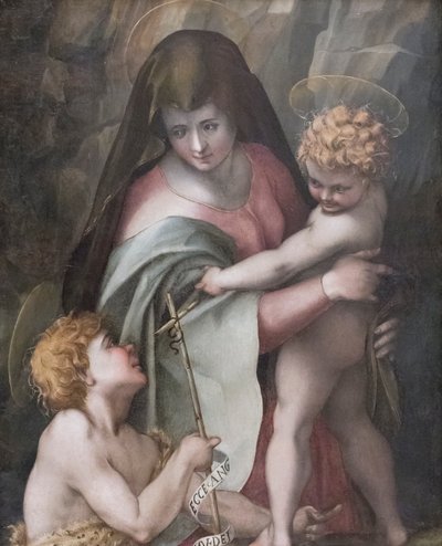 Madonna and Child with the Young St John, Domenico Puligo (olje på panel) av Domenico Puligo