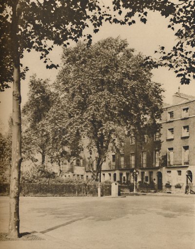 In Boarding-House Land: The Plane Trees of Torrington Square, c1935. av Donald McLeish