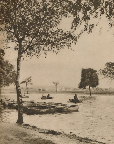 På Blackheath, Stor-Londons mest historiske vanlige, c1935. av Donald McLeish