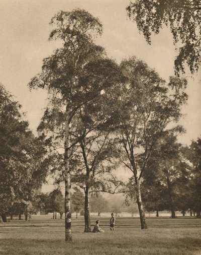 The Lace-Work of the Leaves: A Summer Morning in Hyde Park, c1935. av Donald McLeish