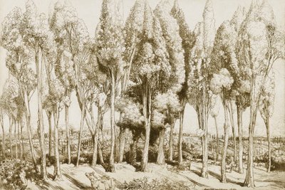  av Donald Shaw MacLaughlan