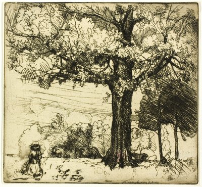 Den store eiken av Donald Shaw MacLaughlan