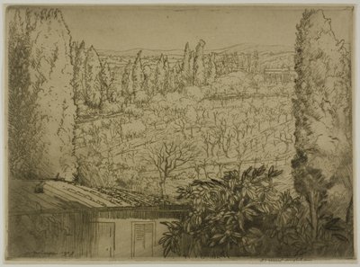 Toscana av Donald Shaw MacLaughlan