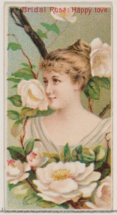 Bridal Rose: Happy Love, fra serien Floral Beauties and Language of Flowers N75 for..., 1892. av Donaldson Brothers