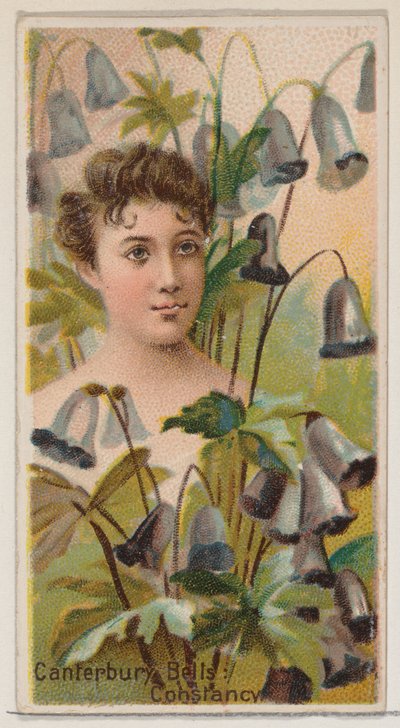Canterbury Bells: Constancy, fra serien Floral Beauties and Language of Flowers N75..., 1892. av Donaldson Brothers