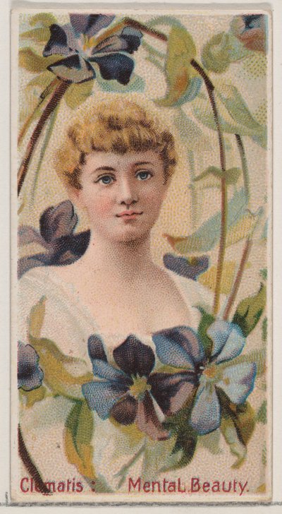 Clematis: Mental Beauty, fra serien Floral Beauties and Language of Flowers N75 for..., 1892. av Donaldson Brothers
