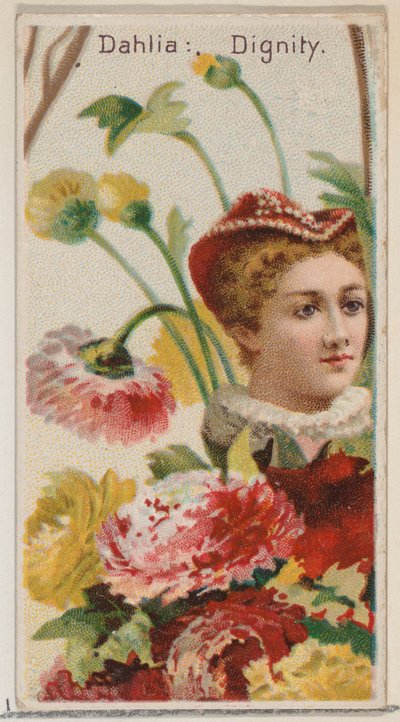 Dahlia: Dignity, fra serien Floral Beauties and Language of Flowers N75 for Duke br..., 1892. av Donaldson Brothers