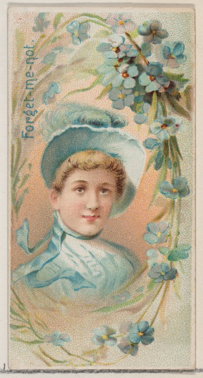 Forget-Me-Not, fra serien Floral Beauties and Language of Flowers N75 for Duke bran..., 1892. av Donaldson Brothers