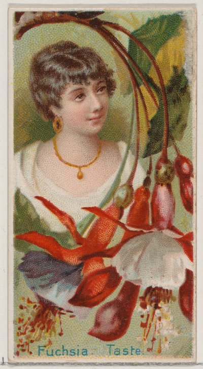 Fuchsia: Taste, fra serien Floral Beauties and Language of Flowers N75 for Duke bra..., 1892. av Donaldson Brothers