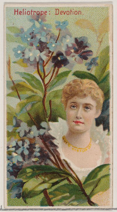 Heliotrope: Devotion, fra serien Floral Beauties and Language of Flowers N75 for Du..., 1892. av Donaldson Brothers