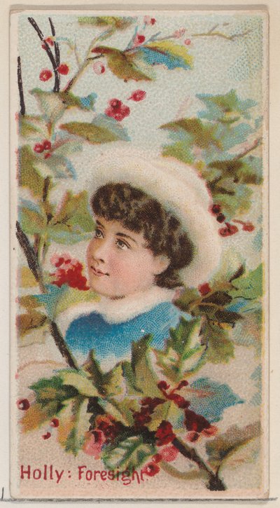 Holly: Foresight, fra serien Floral Beauties and Language of Flowers N75 for Duke f..., 1892. av Donaldson Brothers