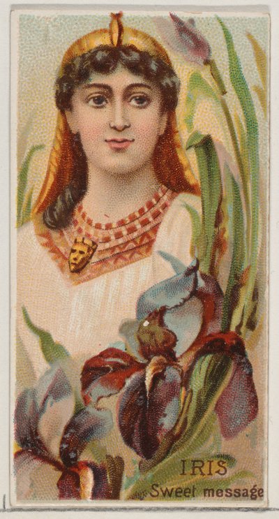 Iris: Sweet Message, fra serien Floral Beauties and Language of Flowers N75 for Duk..., 1892. av Donaldson Brothers