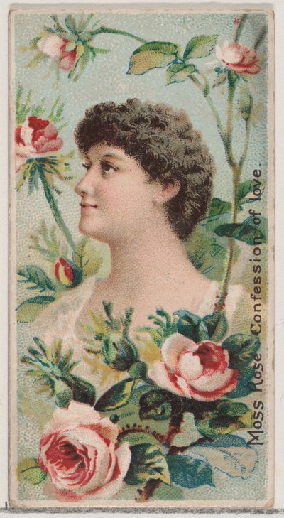 Moss Rose: Confession of Love, fra serien Floral Beauties and Language of Flowers N7..., 1892. av Donaldson Brothers
