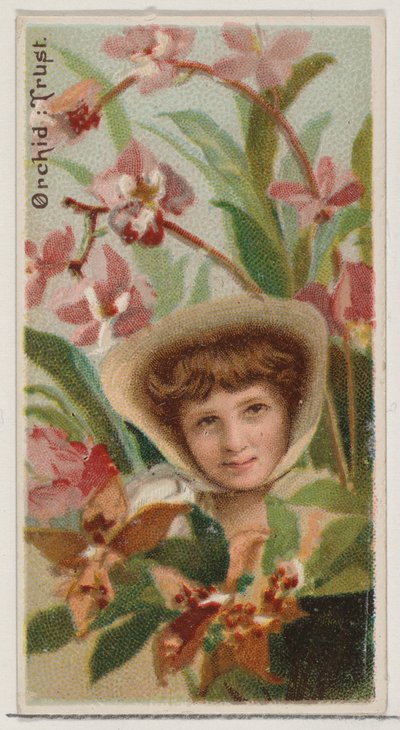Orchid: Trust, fra serien Floral Beauties and Language of Flowers N75 for Duke bran..., 1892. av Donaldson Brothers