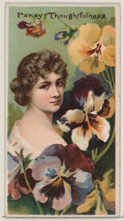 Pansy: Thoughtfulness, fra serien Floral Beauties and Language of Flowers N75 for D..., 1892. av Donaldson Brothers