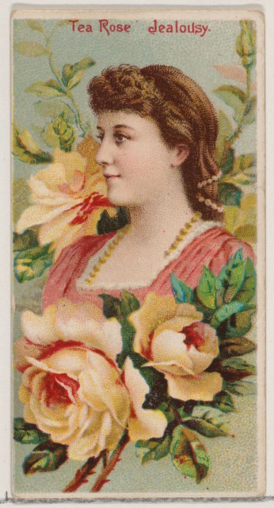 Tea Rose: Jealousy, fra serien Floral Beauties and Language of Flowers N75 for Duke..., 1892. av Donaldson Brothers