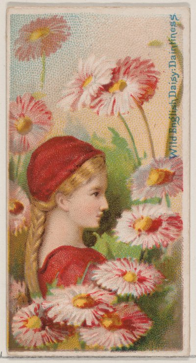 Wild English Daisy: Daintiness, fra serien Floral Beauties and Language of Flowers N..., 1892. av Donaldson Brothers