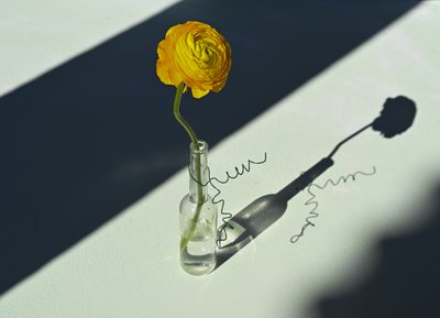  av Donatella Basso